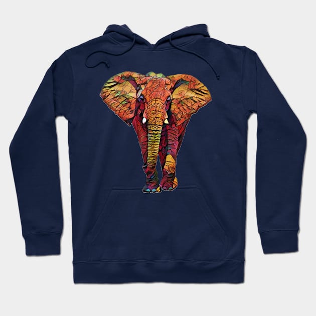 Cute Colorful Elephant Design Hoodie by Sanzida Design